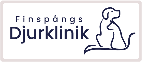 finspångs 2026 02 11t102128.369 klippt email mindre